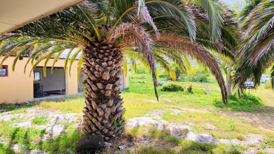 5 Bedroom Property for Sale in Uilenkraalsmond Western Cape